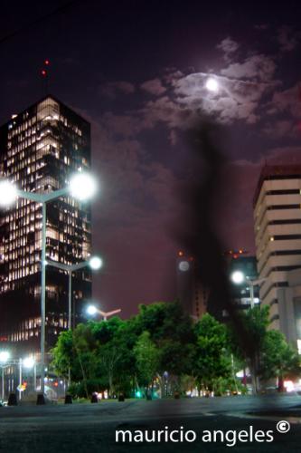 Fotografia de yei-atl - Galeria Fotografica: la vida al encuentro con la im�gen - Foto: 2 0 0 6