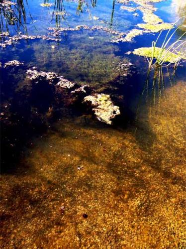 Fotografia de gsuss - Galeria Fotografica: Los Pasos Perdidos - Foto: Agua Clara