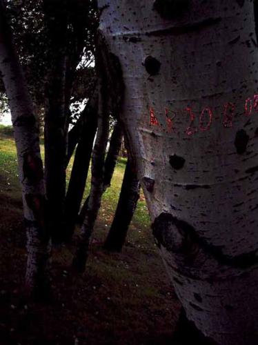 Fotografia de gsuss - Galeria Fotografica: Los Pasos Perdidos - Foto: Tattoo Diabolico