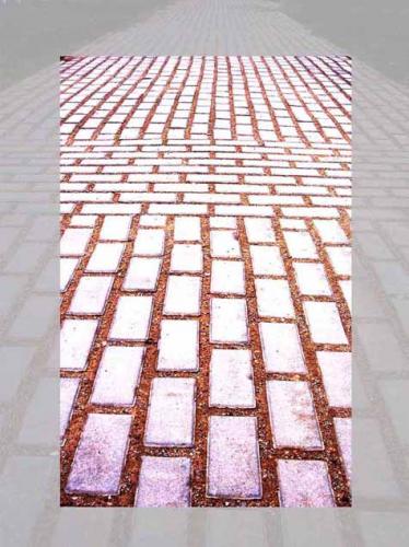 Fotografia de gsuss - Galeria Fotografica: Los Pasos Perdidos - Foto: Cruce Despejado