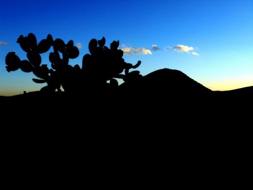 Fotografia de Fotones traviesos - Galeria Fotografica: Primera galera - Foto: 