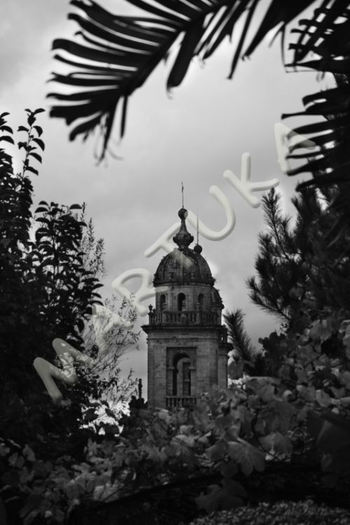 Fotografia de martuka - Galeria Fotografica: Santiago de Compostela (A Corua) - Foto: 