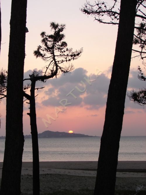 Fotografia de martuka - Galeria Fotografica: Naturaleza viva - Foto: Bueu