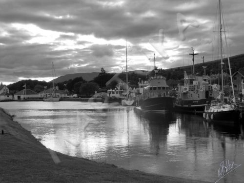 Fotografia de martuka - Galeria Fotografica: Naturaleza viva - Foto: Escocia