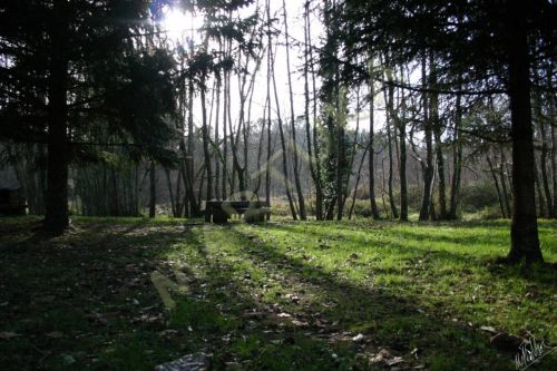 Fotografia de martuka - Galeria Fotografica: Naturaleza viva - Foto: Oza dos Rios