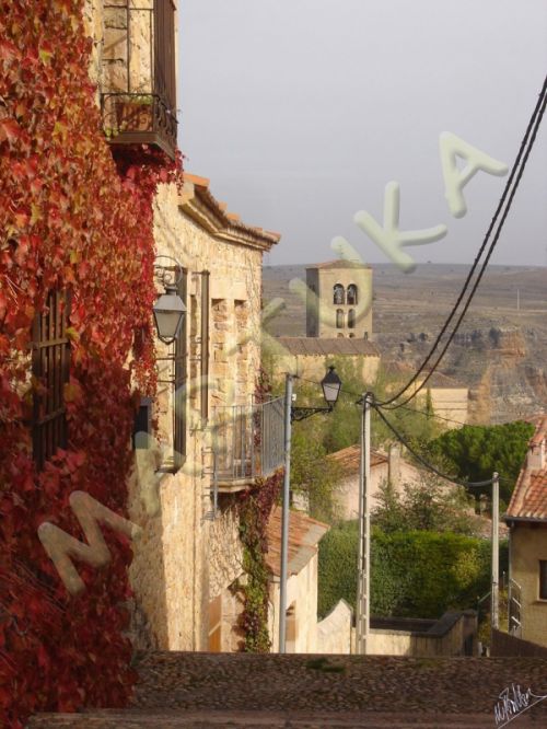 Fotografia de martuka - Galeria Fotografica: Naturaleza viva - Foto: Segovia