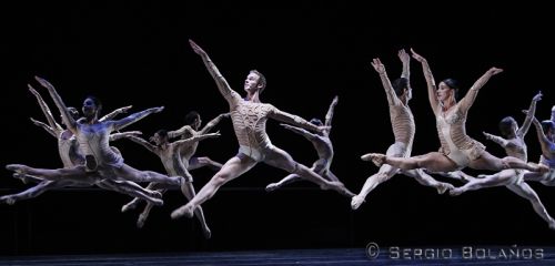 Fotografia de SBGFOTOS - Galeria Fotografica: BALLET - Foto: 