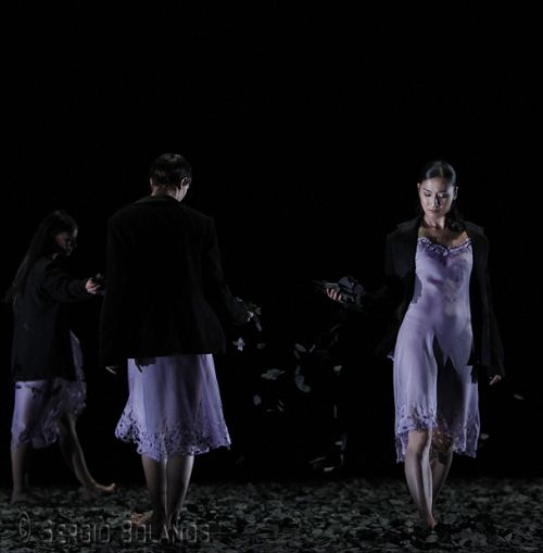 Fotografia de SBGFOTOS - Galeria Fotografica: BALLET - Foto: 