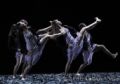 Fotos de SBGFOTOS -  Foto: BALLET - 