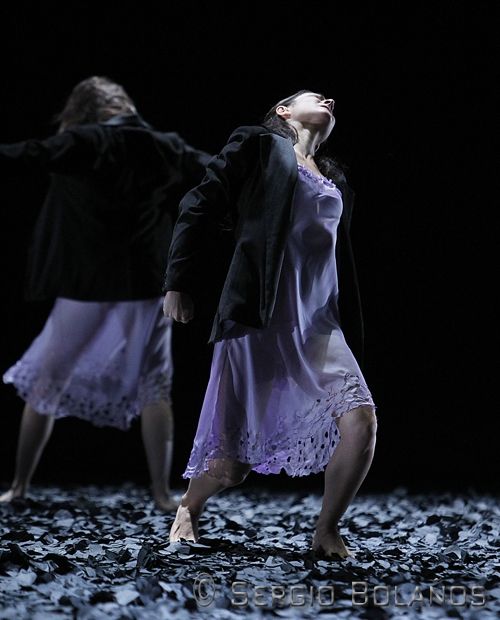 Fotografia de SBGFOTOS - Galeria Fotografica: BALLET - Foto: 