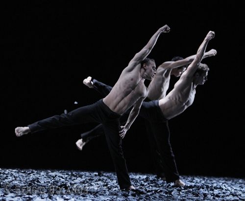 Fotografia de SBGFOTOS - Galeria Fotografica: BALLET - Foto: 