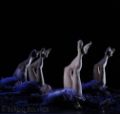 Fotos de SBGFOTOS -  Foto: BALLET - 