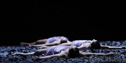 Fotografia de SBGFOTOS - Galeria Fotografica: BALLET - Foto: 