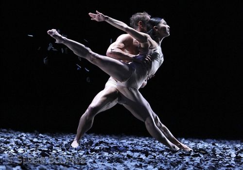 Fotografia de SBGFOTOS - Galeria Fotografica: BALLET - Foto: 