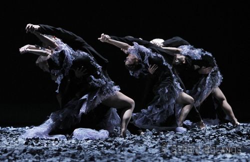 Fotografia de SBGFOTOS - Galeria Fotografica: BALLET - Foto: 