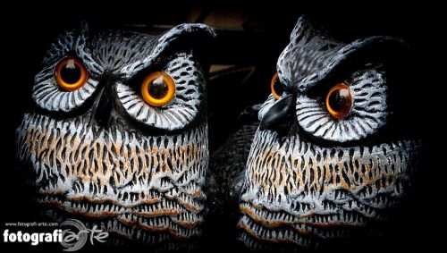 Fotografia de fotografiarte - Galeria Fotografica: producciones - Foto: 