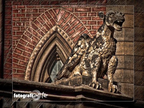 Fotografia de fotografiarte - Galeria Fotografica: producciones - Foto: 