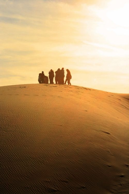 Fotografia de javier morales - Galeria Fotografica: paisajes e ins�litas - Foto: DUNA DE BOLONIA