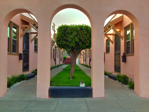 Fotografia de Fotones traviesos - Galeria Fotografica: Primera galera - Foto: 