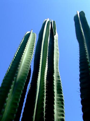 Fotografia de VHAvilan - Galeria Fotografica: natural - Foto: capto