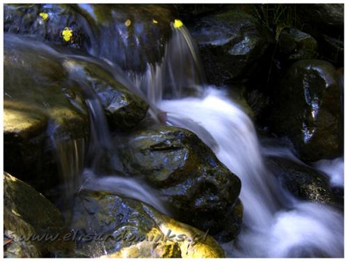 Fotografia de Elisardo Minks - Galeria Fotografica: Elisardo Minks - Foto: De montaa