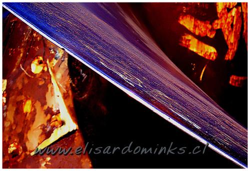 Fotografia de Elisardo Minks - Galeria Fotografica: Elisardo Minks - Foto: filo