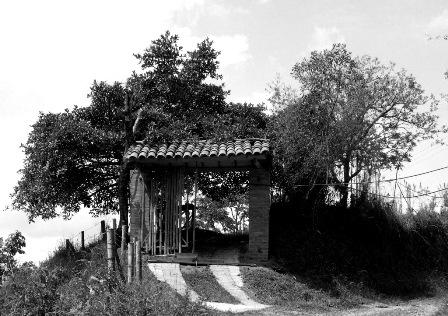 Fotografia de Cristhian - Galeria Fotografica: Primeras - Foto: Portal