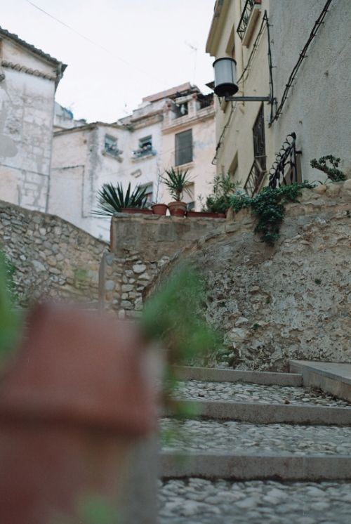 Fotografia de Bananero creaciones - Galeria Fotografica: la costera - Foto: seguimos subiendo