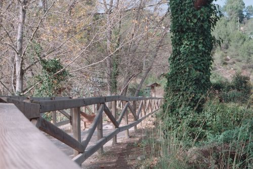 Fotografia de Bananero creaciones - Galeria Fotografica: la costera - Foto: casi selva