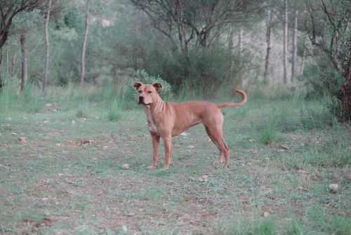 Fotografia de Bananero creaciones - Galeria Fotografica: la costera - Foto: mi xulika