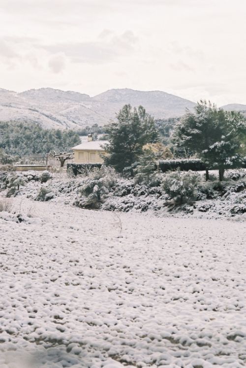 Fotografia de Bananero creaciones - Galeria Fotografica: la costera - Foto: 