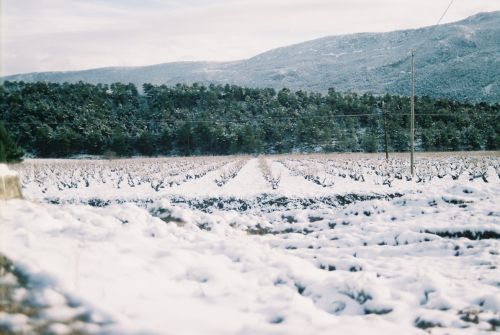 Fotografia de Bananero creaciones - Galeria Fotografica: la costera - Foto: 