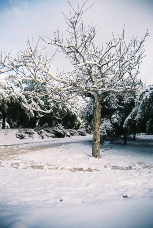 Fotografia de Bananero creaciones - Galeria Fotografica: la costera - Foto: 