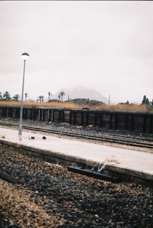 Fotografia de Bananero creaciones - Galeria Fotografica: la costera - Foto: 