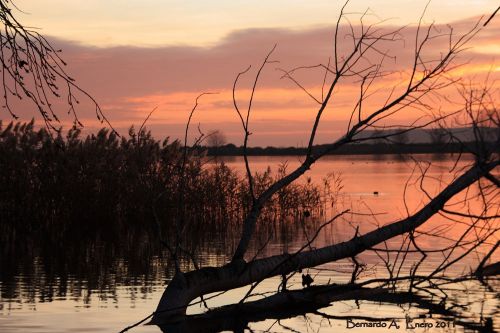 Fotografia de virgi_chopo - Galeria Fotografica: ECLIPSE EN LA 