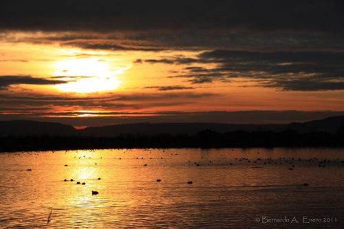 Fotografia de virgi_chopo - Galeria Fotografica: ECLIPSE EN LA 