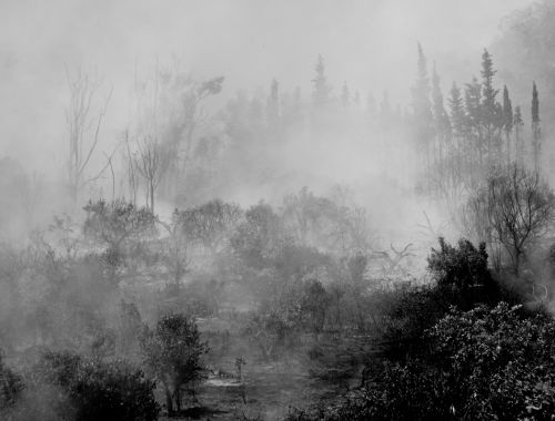 Fotografia de Bea - Galeria Fotografica: Mis Favoritas - Foto: 