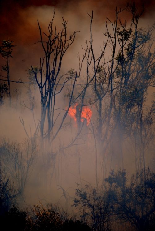 Fotografia de Bea - Galeria Fotografica: Mis Favoritas - Foto: 