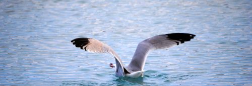 Fotografia de Bea - Galeria Fotografica: Mis Favoritas - Foto: 