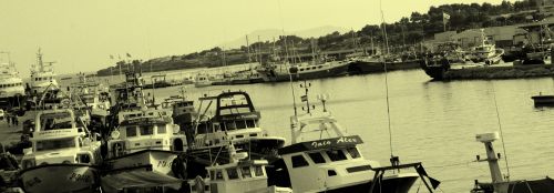 Fotografia de Bea - Galeria Fotografica: Mis Favoritas - Foto: 