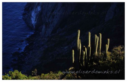 Fotografia de Elisardo Minks - Galeria Fotografica: Elisardo Minks - Foto: 