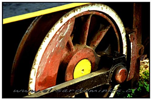 Fotografia de Elisardo Minks - Galeria Fotografica: Elisardo Minks - Foto: 