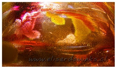 Fotografia de Elisardo Minks - Galeria Fotografica: Elisardo Minks - Foto: 