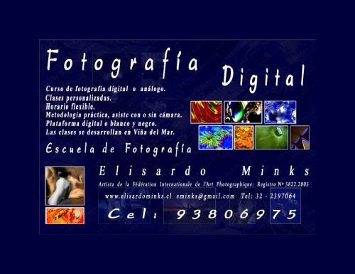 Fotografia de Elisardo Minks - Galeria Fotografica: Elisardo Minks - Foto: 