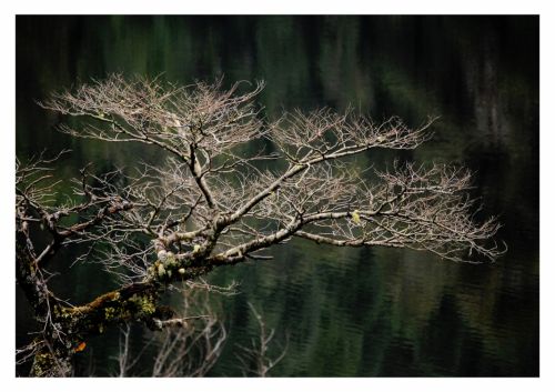 Fotografia de Elisardo Minks - Galeria Fotografica: Elisardo Minks - Foto: 