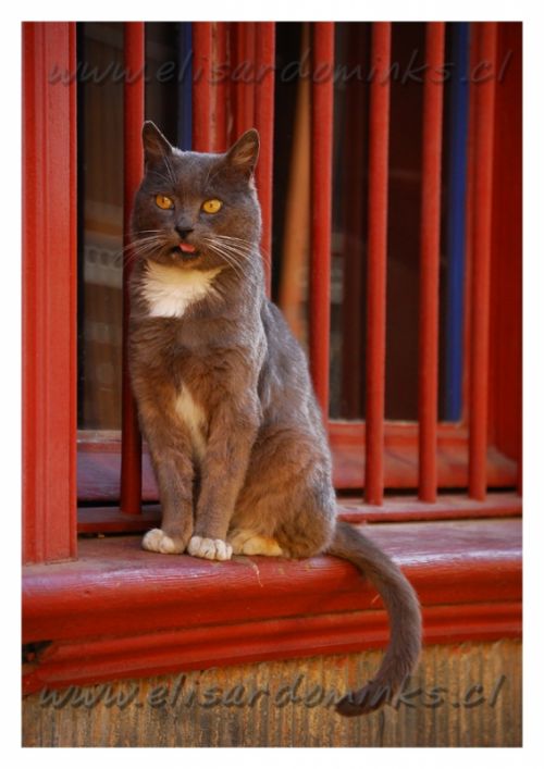 Fotografia de Elisardo Minks - Galeria Fotografica: Elisardo Minks - Foto: 