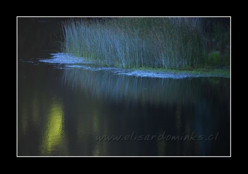 Fotografia de Elisardo Minks - Galeria Fotografica: Elisardo Minks - Foto: 