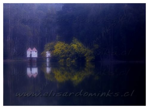 Fotografia de Elisardo Minks - Galeria Fotografica: Elisardo Minks - Foto: 