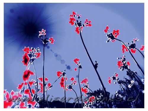 Fotografia de Elisardo Minks - Galeria Fotografica: Elisardo Minks - Foto: 