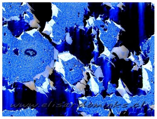 Fotografia de Elisardo Minks - Galeria Fotografica: Elisardo Minks - Foto: 